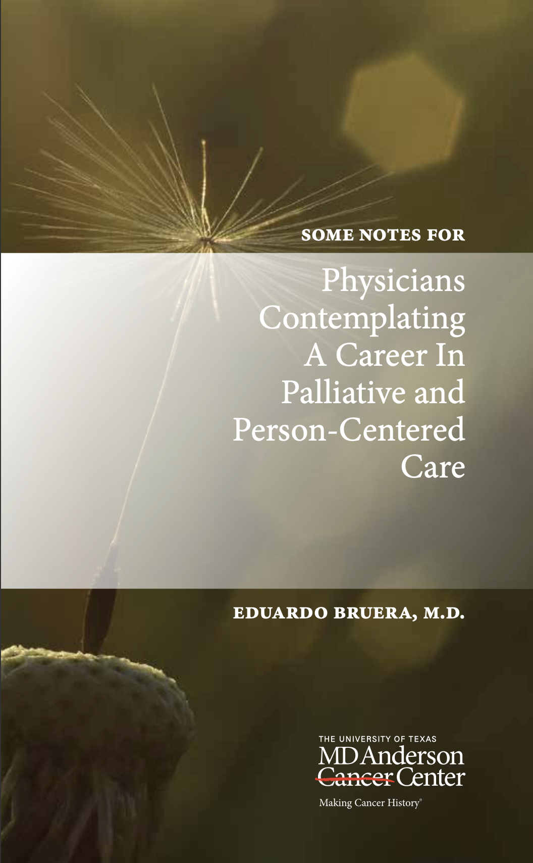 Physicians Contemplating A Career In Palliative and Person-Centered Care